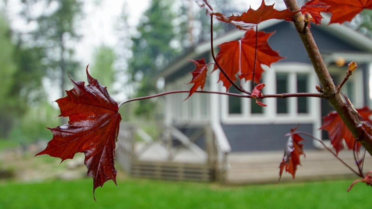 Venejoen Piilo - Kuohu Villa Kontiolahti Екстериор снимка