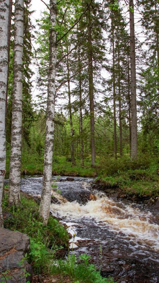 Venejoen Piilo - Kuohu Villa Kontiolahti Екстериор снимка